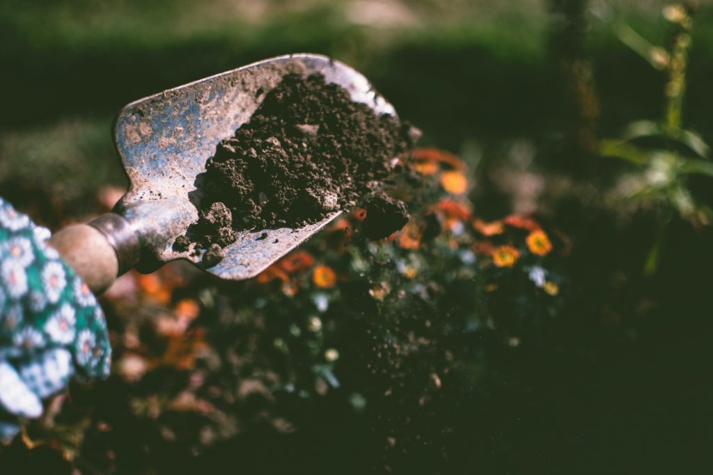 Test soil , improve