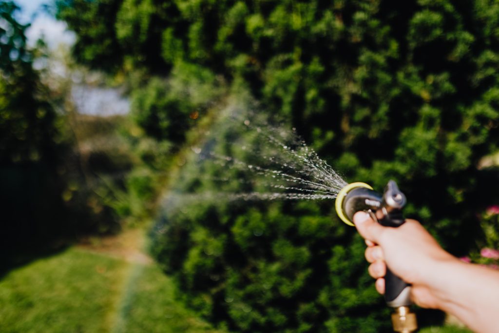 watering plants around the garden